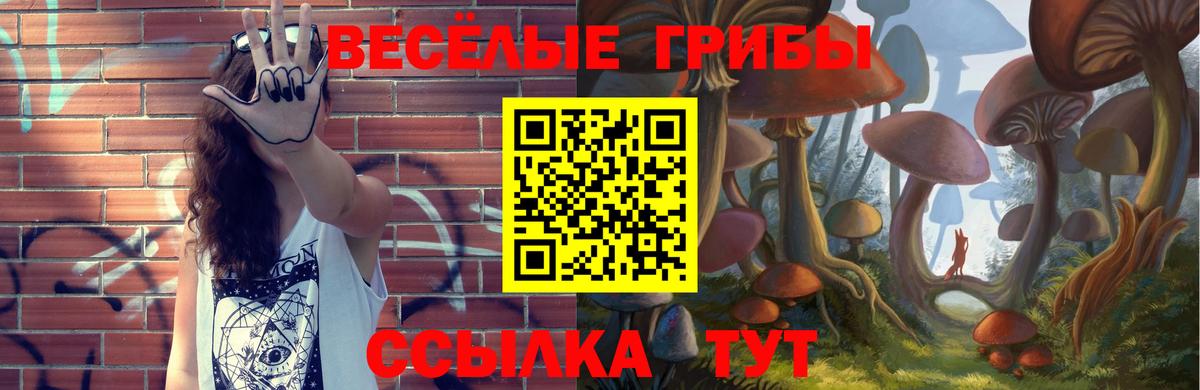 Муром  Псилоцибиновые грибы GOLDEN TEACHER  Вход с VPN  Псилоцибиновые грибы MAGIC MUSHROOMS 